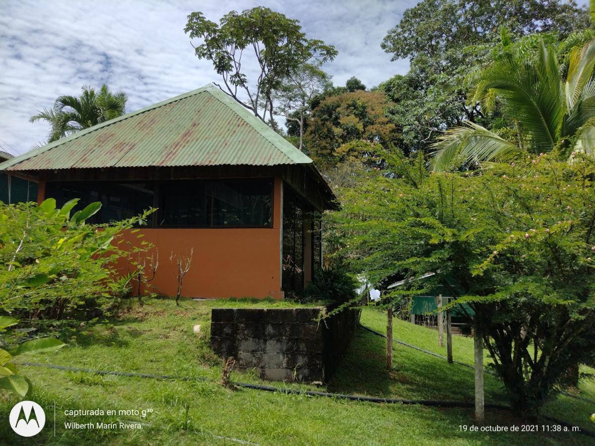 Hotel Mirador Osa Mogos Esterno foto