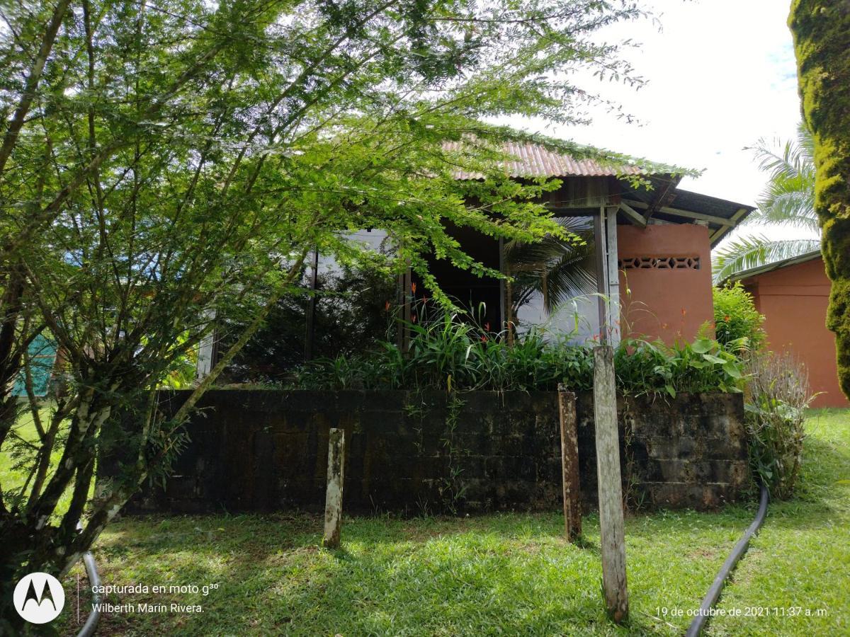 Hotel Mirador Osa Mogos Esterno foto