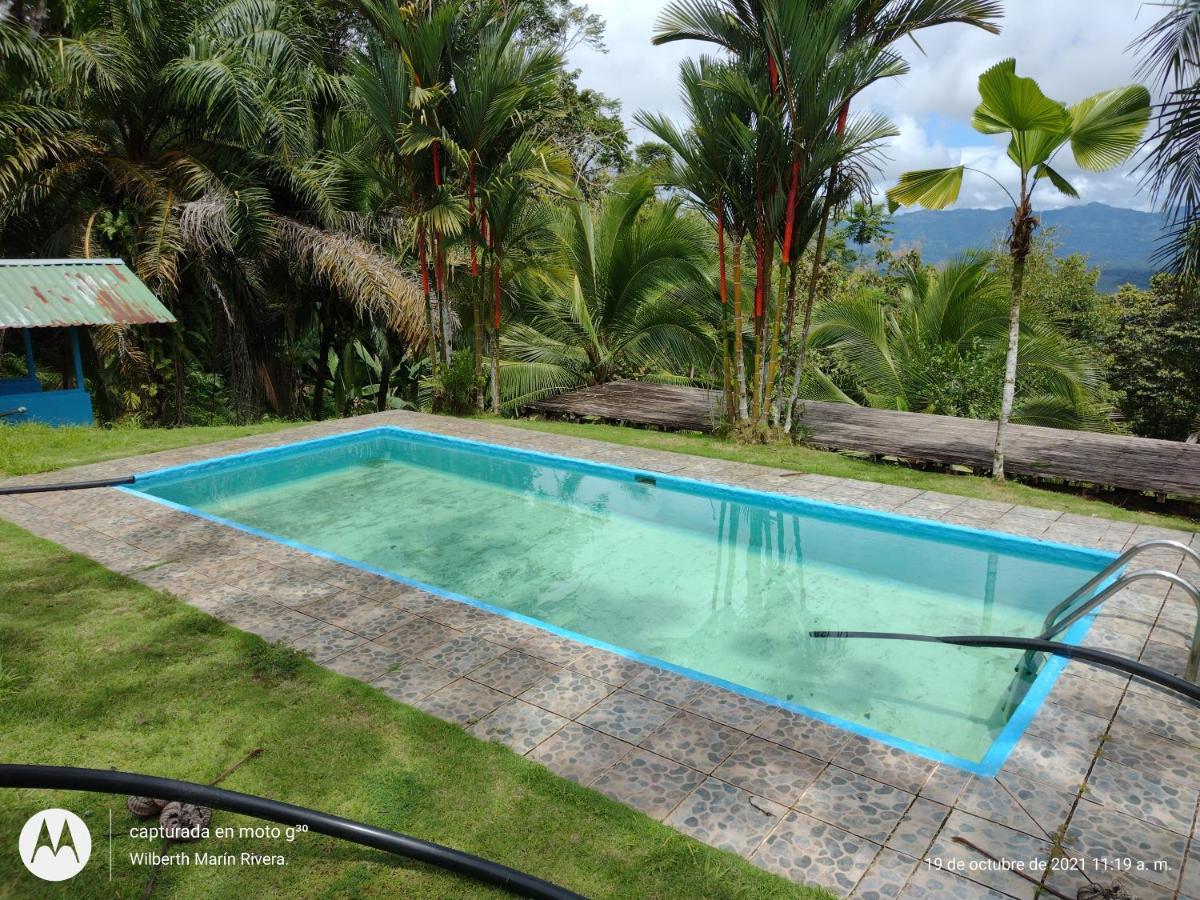 Hotel Mirador Osa Mogos Esterno foto