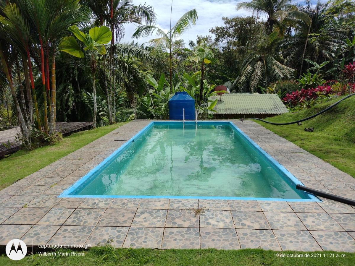 Hotel Mirador Osa Mogos Esterno foto
